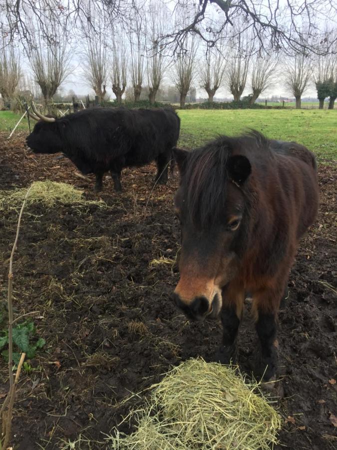 Le Domaine Des Saules Holiday home Richebourg (Pas-de-Calais)